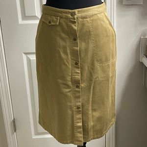 Banana Republic skirt